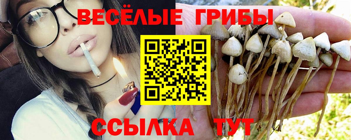 Псилоцибиновые грибы прущие грибы  Вход с VPN  Ростов Великий 